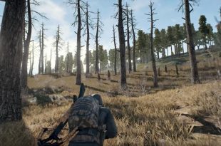 pubg squalifica