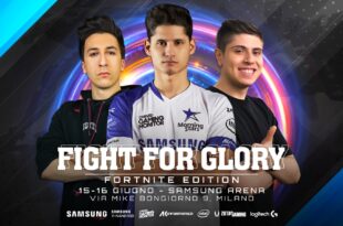 Fight for glory