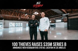 100 thieves