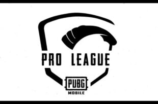 Pro Mobile